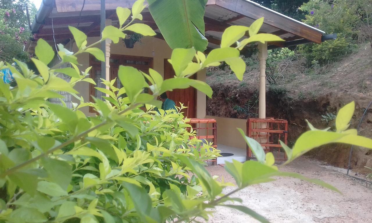 Ella J Villa エクステリア 写真